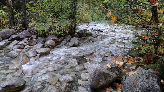 壮观的香农瀑布是一系列湍急的水流从悬崖上冲下河流视频素材