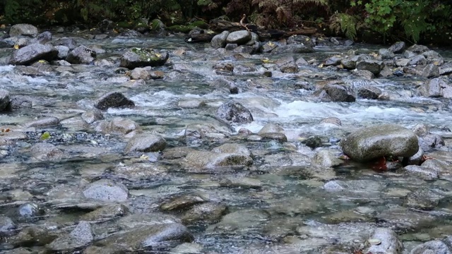 壮观的香农瀑布是一系列湍急的水流从悬崖上冲下河流视频下载