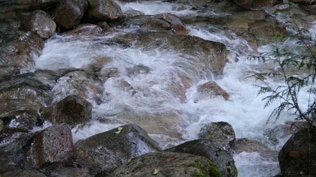 壮观的香农瀑布是一系列湍急的水流从悬崖上冲下河流视频下载