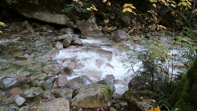 壮观的香农瀑布是一系列湍急的水流从悬崖上冲下河流视频素材