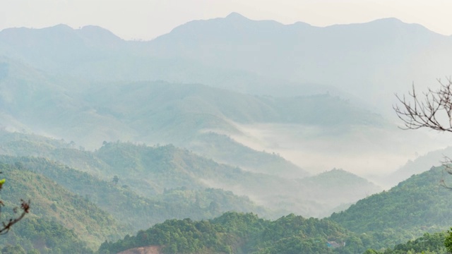 雾在早上在雨林山脉上滚动，时间流逝视频视频素材