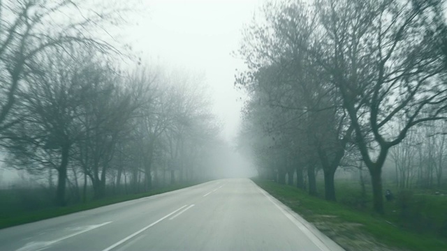 早春的道路景色。汽车在浓雾中沿着公路行驶。柏油路上雾越来越大。道路两旁都有树，对汽车来说很危险视频素材