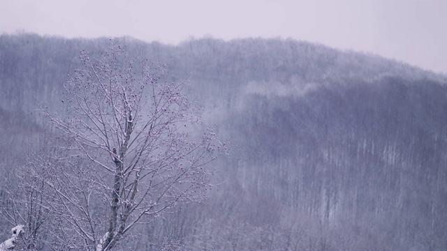 冬季仙境。的雪山风景视频素材