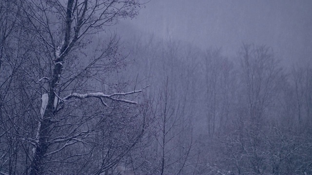 冬季仙境。的雪山风景视频素材