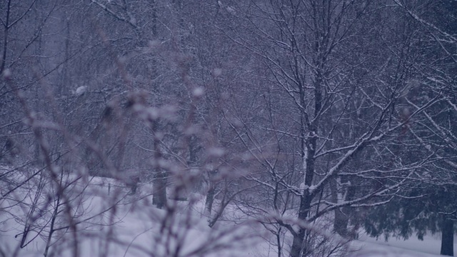 冬季仙境。的雪山风景视频素材