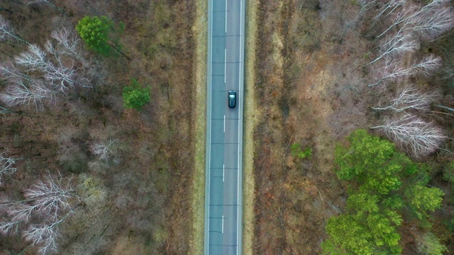 鸟瞰图的黑色汽车行驶在乡村道路在森林。无人机在松树林的砾石路上飞行视频素材