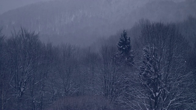 冬季仙境。的雪山风景视频素材