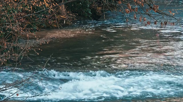 白山溪水下落视频素材