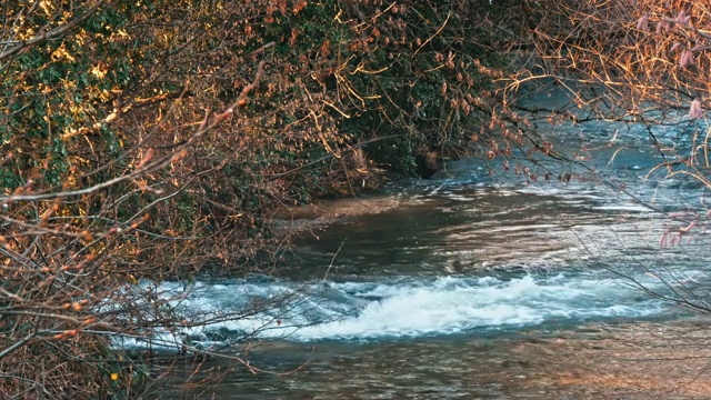 白山溪水下落视频素材