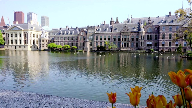 Binnenhof -荷兰议会，荷兰视频素材