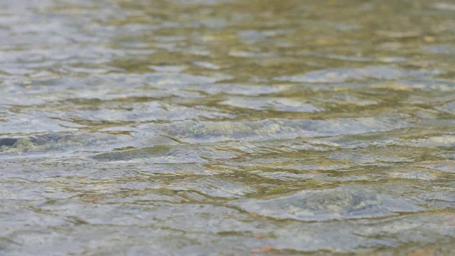 近距离拍摄清澈的河水，在水面上反射着粼粼波光，4k视频，慢镜头。视频素材