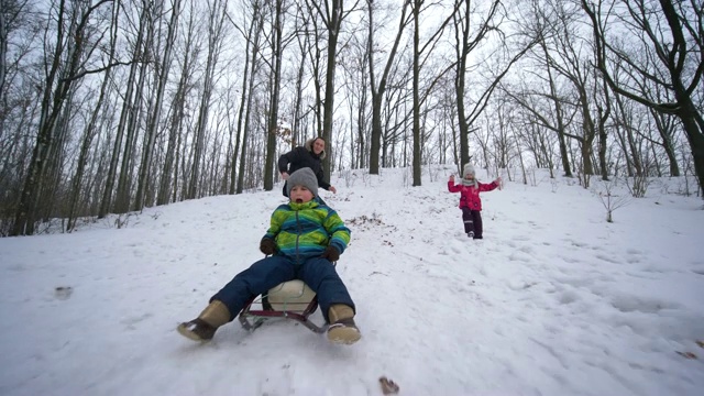 快乐的家庭和雪橇休息在雪林在冬季假期视频素材