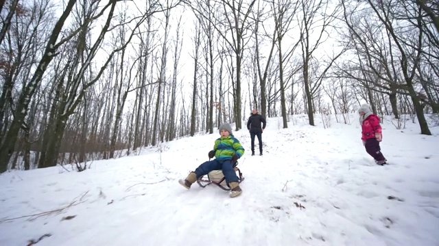 一个家庭的冬季周末，小男孩从白雪覆盖的山上快速滑下雪橇视频素材