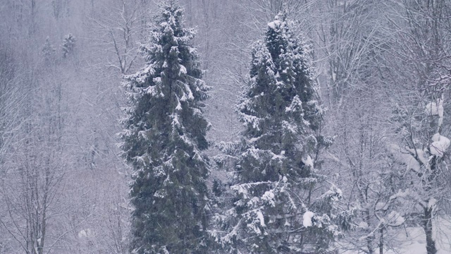 冬季仙境。的雪山风景视频素材