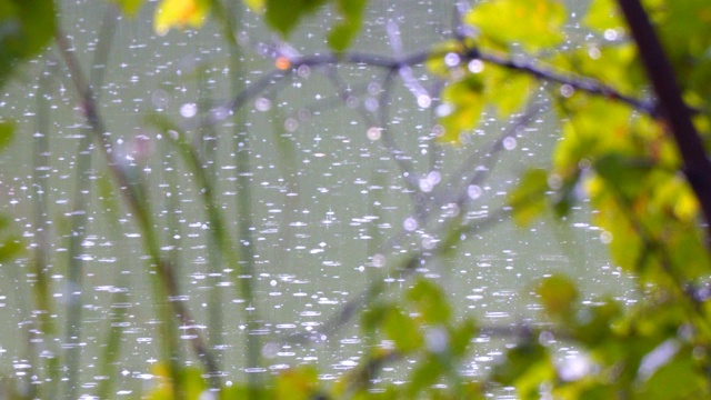 雨水落在河上。森林的景色视频素材