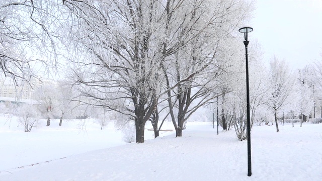 被白雪覆盖的城市公园视频素材