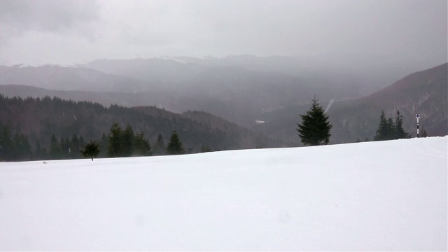 冬季景观树木在暴风雪中视频素材