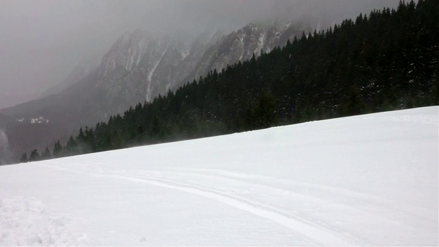 冬季景观树木在暴风雪中视频素材