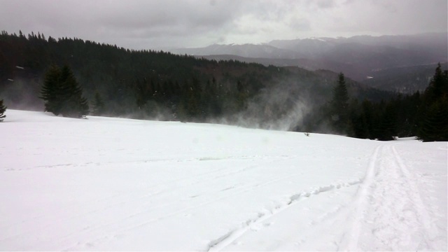 冬季景观树木在暴风雪中视频素材