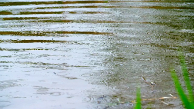 雨在水视频素材