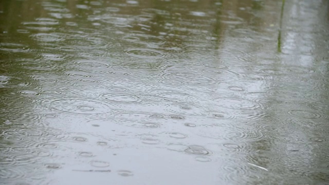 雨在水视频素材