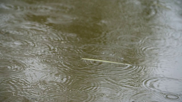 雨在水视频素材