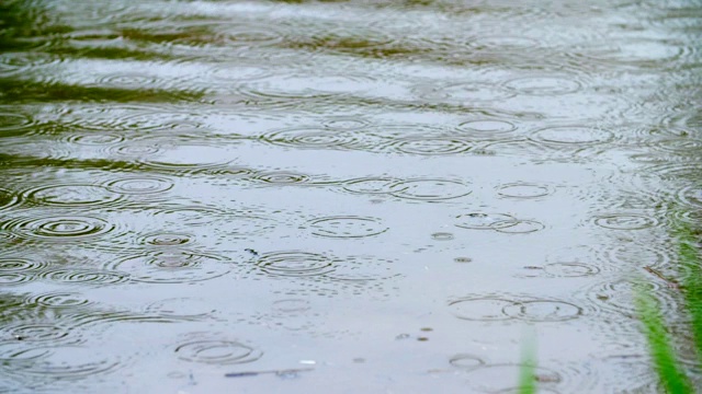 雨在水视频素材