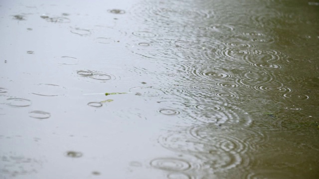 雨在水视频素材