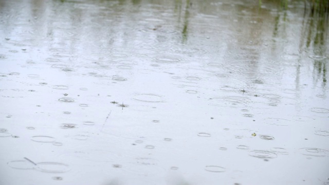 雨在水视频素材