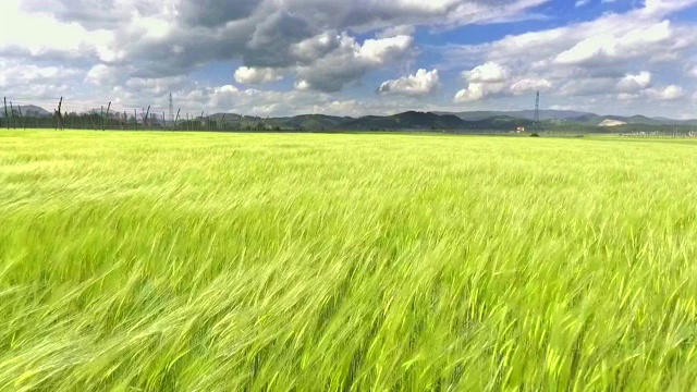 大风席卷了整个地区，看起来要开始下雨了视频素材