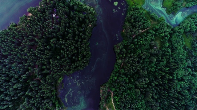 湖水绿油油，绿树成荫。景观有河流，森林，湖泊视频素材