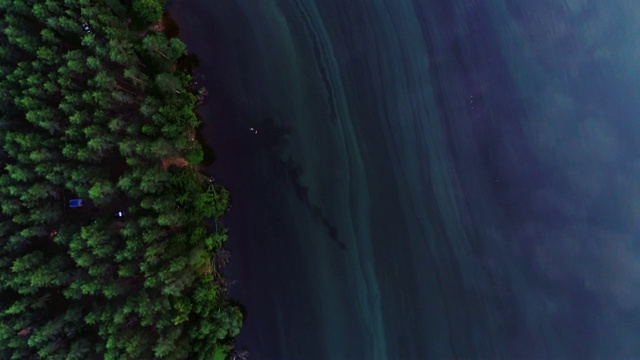 湖水绿油油，绿树成荫。景观有河流，森林，湖泊视频素材