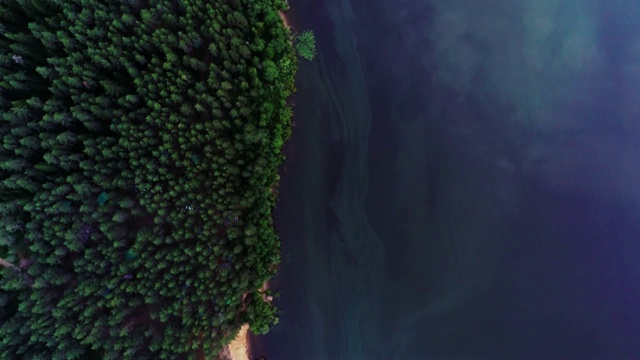 湖水绿油油，绿树成荫。景观有河流，森林，湖泊视频素材