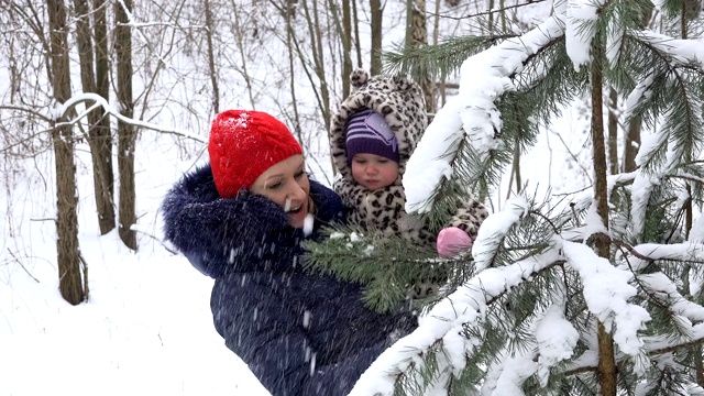 母亲和女儿在冬天抖掉杉树树枝上的雪。4 k视频素材