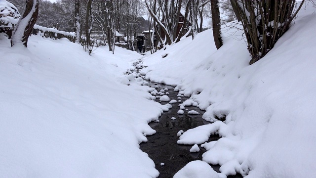 在冬天的时候公园里，刚下过雪，就从小溪里跑出来。4 k视频素材