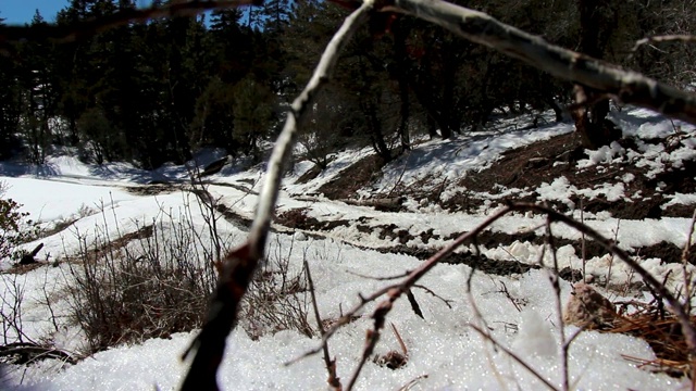 越野雪地探险视频素材