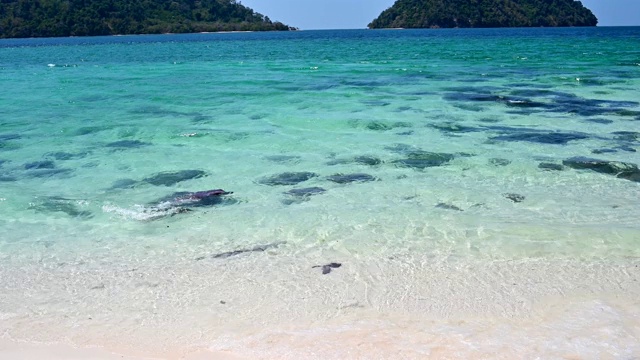 水晶般的海浪拍打着热带海洋的白色沙滩视频素材