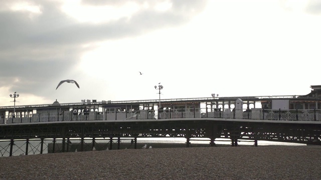 海滩上的海鸥和一个码头的背景/超级慢镜头视频素材