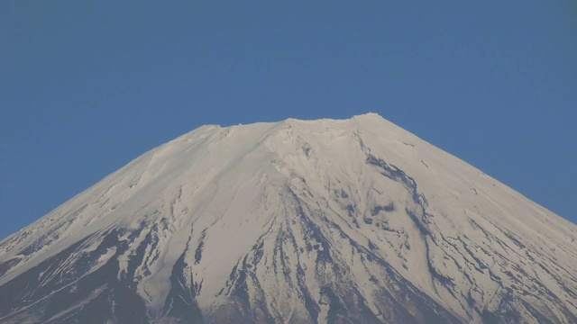 日本山梨县富士的樱花视频素材