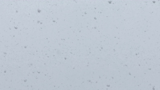 下雪和阴视频素材