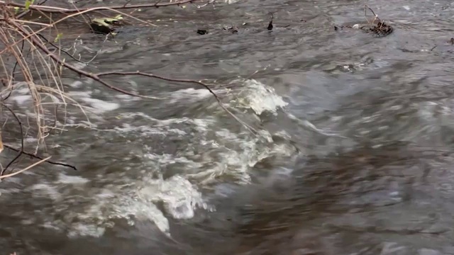 暴风雨的春溪视频下载