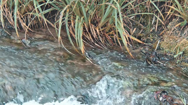 白山溪水下落视频素材