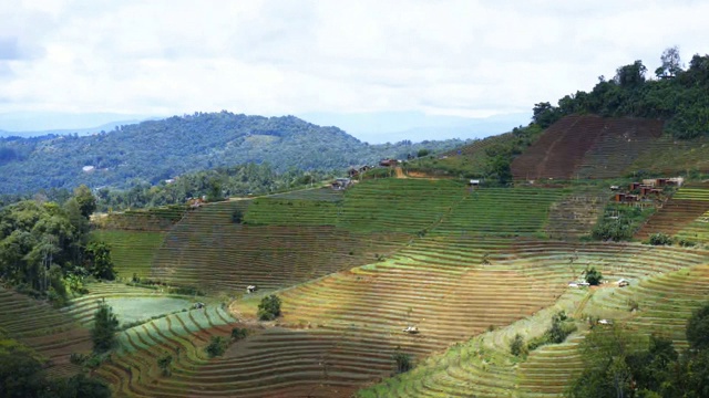 延时移动云与蓝天和阳光之上的水稻梯田在Mon-Jam著名的旅游地点和游客在泰国清迈的观点视频素材