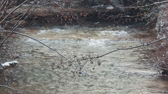 白山溪水下落视频素材