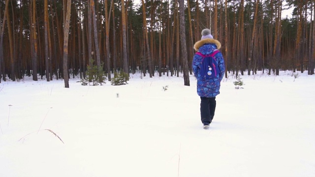 女孩慢慢地走在thу森林的雪地里视频素材