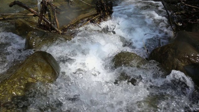 河水在小河中缓缓流动视频素材