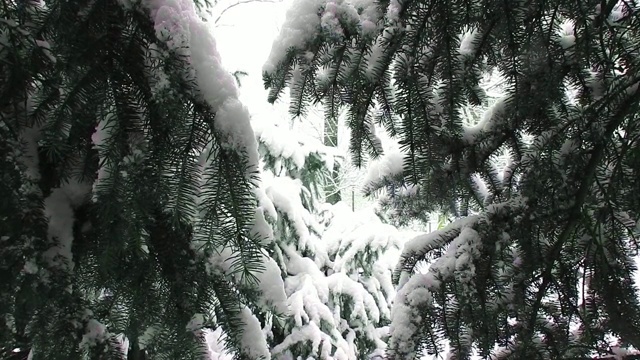 雪花，雪花特写，圣诞模样视频素材