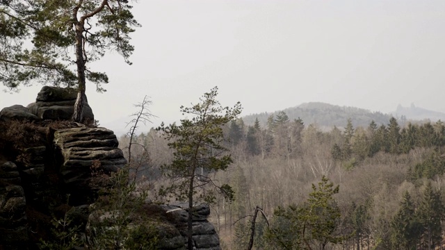 砂岩岩石，森林中的岩石山丘。攀登景观，巨石视频素材