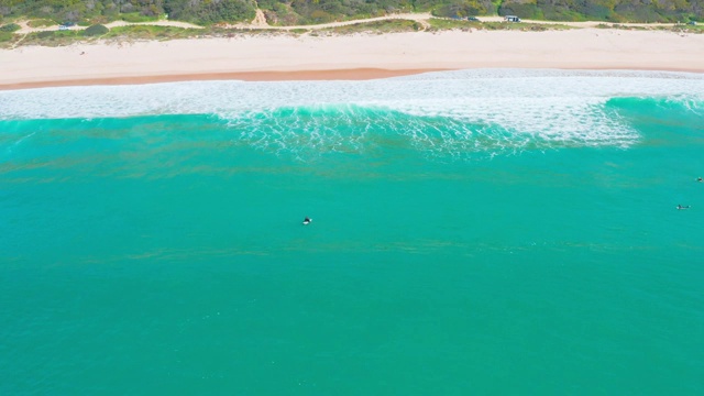 冲浪者等待海浪的鸟瞰图视频素材