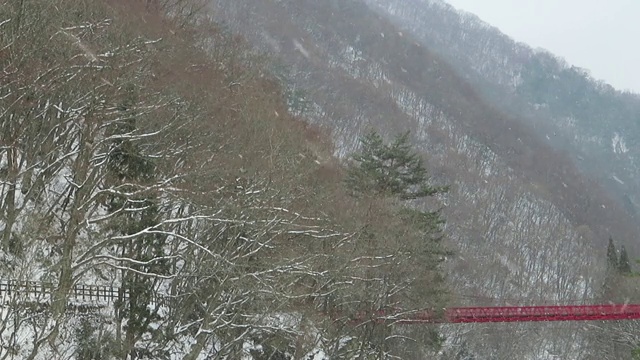 雪花在日本冬天的景观视频素材